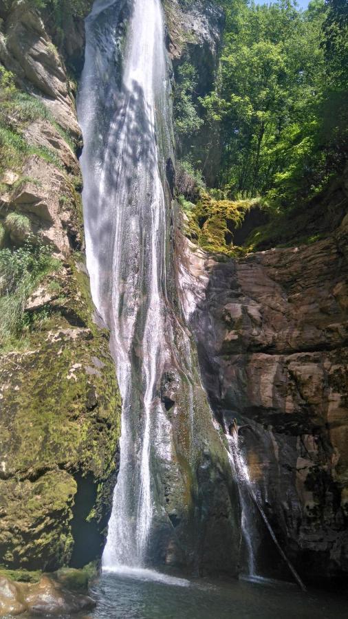 Le Chalet Du Blanc Spa Yoga Aillon-le-Jeune Eksteriør billede