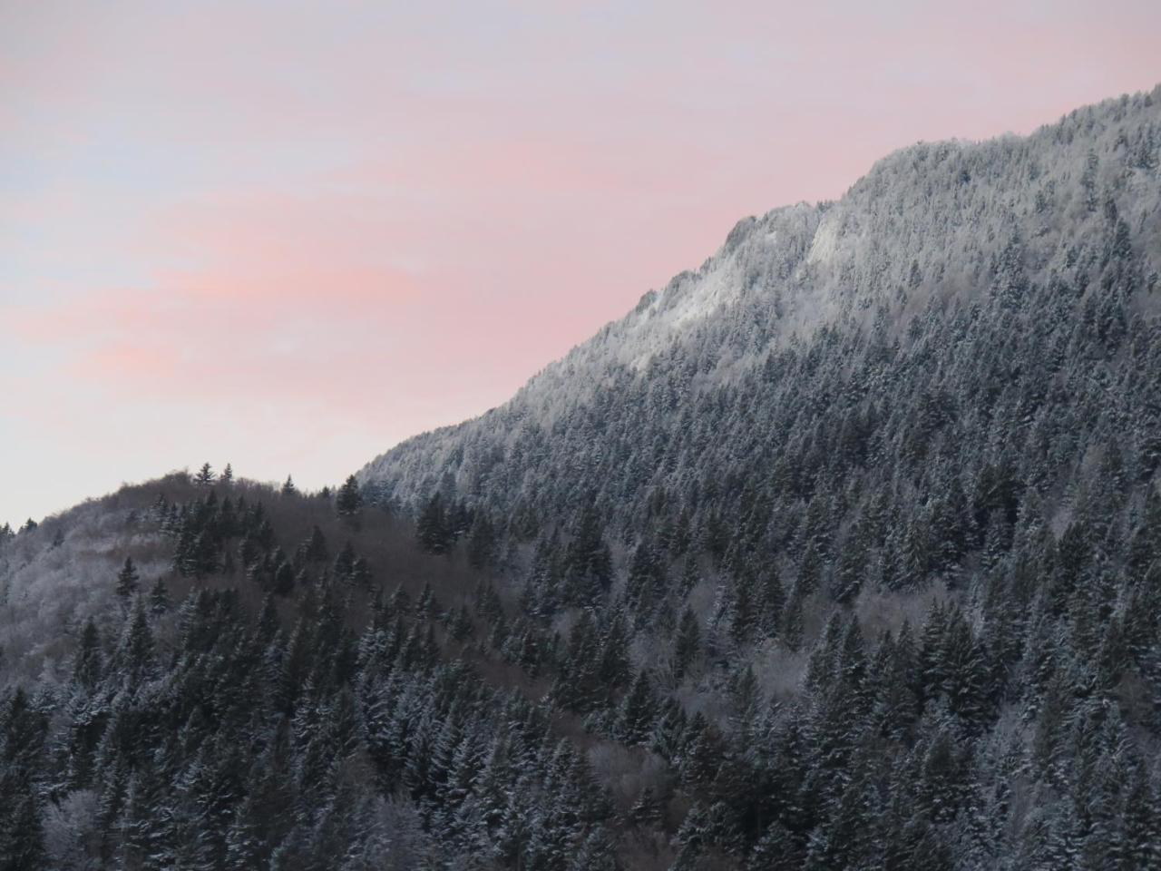 Le Chalet Du Blanc Spa Yoga Aillon-le-Jeune Eksteriør billede